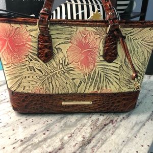 Brand New Brahmin Mini Asher-Pecan Amini